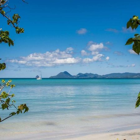 サンタンヌStudio A Louer Proche Des Plagesアパートメント エクステリア 写真