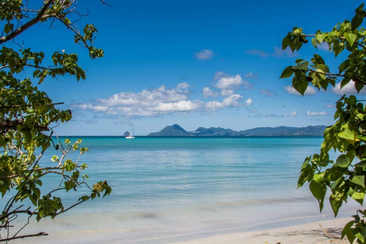 サンタンヌStudio A Louer Proche Des Plagesアパートメント エクステリア 写真